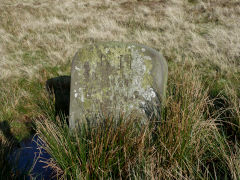 Boundary stone above Ysgubor Wen, Nant Gwyddon Valley, Abercarn, November 2011